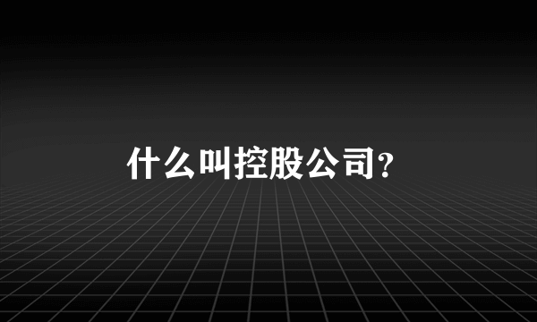 什么叫控股公司？