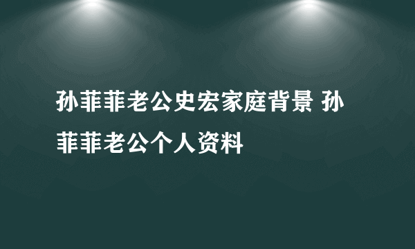 孙菲菲老公史宏家庭背景 孙菲菲老公个人资料