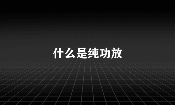 什么是纯功放