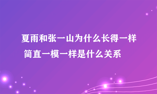 夏雨和张一山为什么长得一样 简直一模一样是什么关系