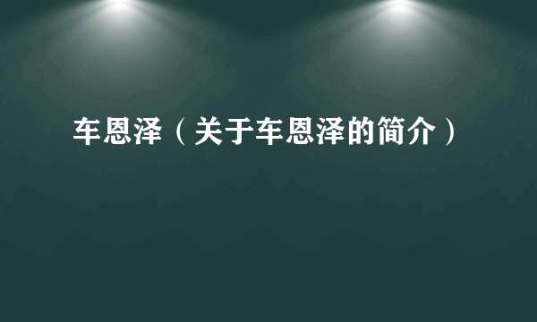 车恩泽（关于车恩泽的简介）