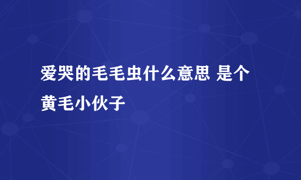 爱哭的毛毛虫什么意思 是个黄毛小伙子