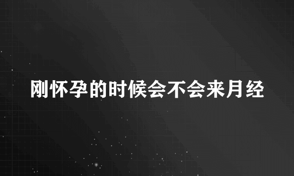 刚怀孕的时候会不会来月经