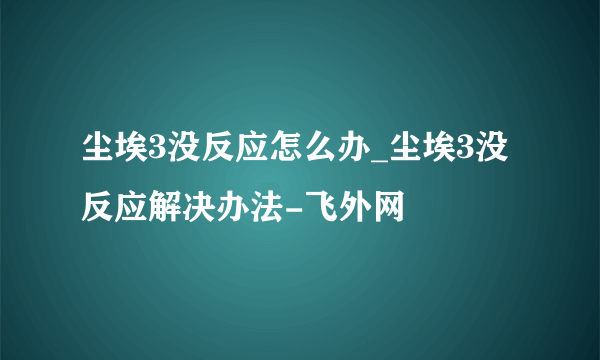 尘埃3没反应怎么办_尘埃3没反应解决办法-飞外网