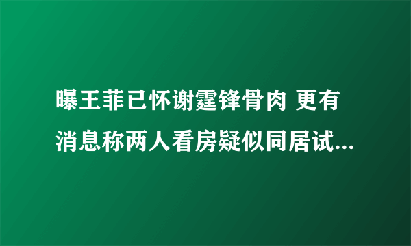 曝王菲已怀谢霆锋骨肉 更有消息称两人看房疑似同居试婚_飞外网