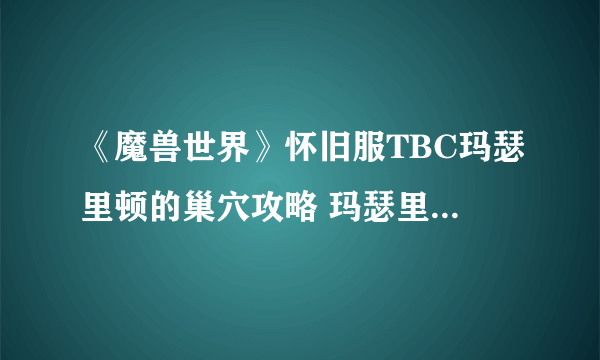 《魔兽世界》怀旧服TBC玛瑟里顿的巢穴攻略 玛瑟里顿打法教学