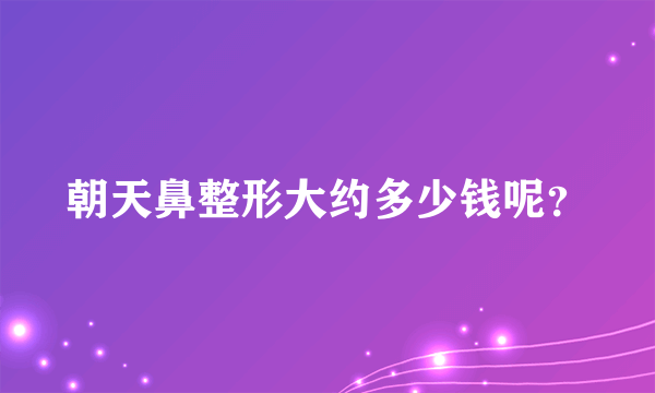 朝天鼻整形大约多少钱呢？