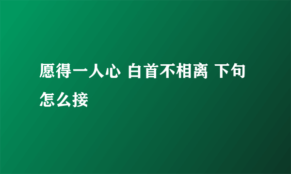 愿得一人心 白首不相离 下句怎么接