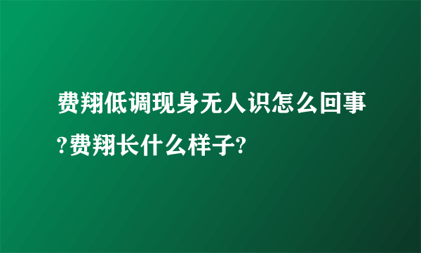 费翔低调现身无人识怎么回事?费翔长什么样子?