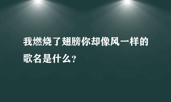 我燃烧了翅膀你却像风一样的歌名是什么？