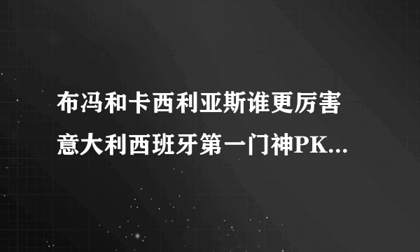 布冯和卡西利亚斯谁更厉害 意大利西班牙第一门神PK_飞外网