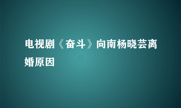 电视剧《奋斗》向南杨晓芸离婚原因