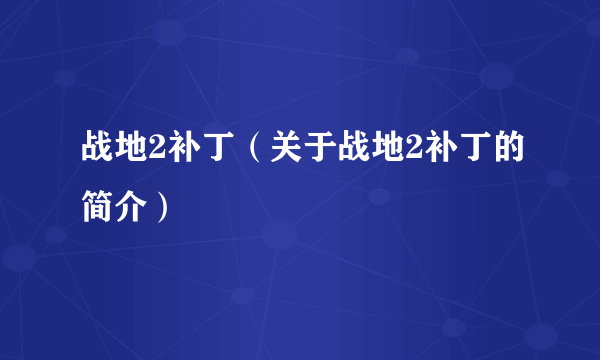 战地2补丁（关于战地2补丁的简介）