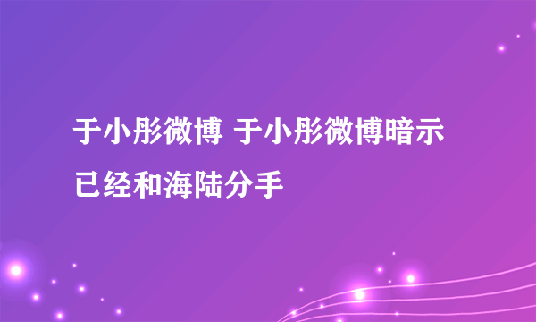 于小彤微博 于小彤微博暗示已经和海陆分手