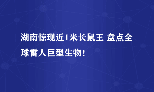 湖南惊现近1米长鼠王 盘点全球雷人巨型生物！