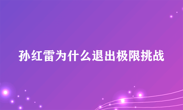 孙红雷为什么退出极限挑战