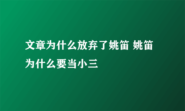 文章为什么放弃了姚笛 姚笛为什么要当小三