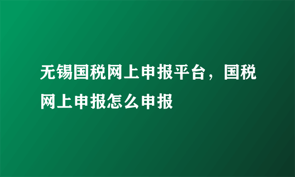 无锡国税网上申报平台，国税网上申报怎么申报