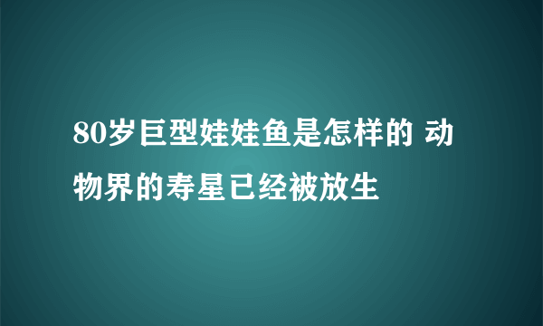 80岁巨型娃娃鱼是怎样的 动物界的寿星已经被放生