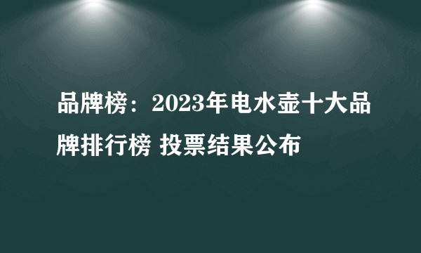 品牌榜：2023年电水壶十大品牌排行榜 投票结果公布