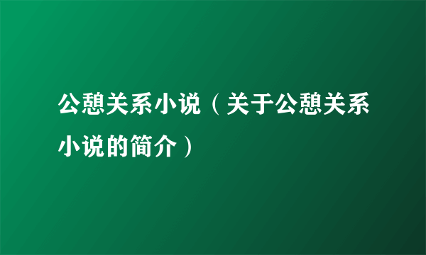 公憩关系小说（关于公憩关系小说的简介）