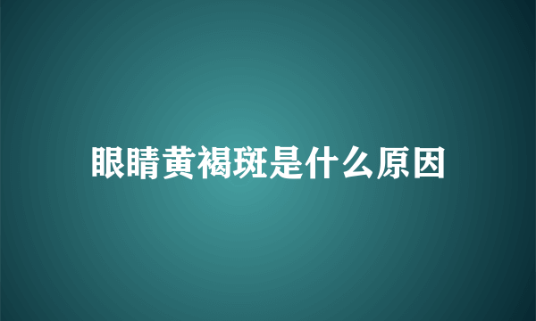 眼睛黄褐斑是什么原因