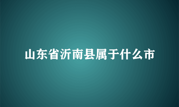 山东省沂南县属于什么市