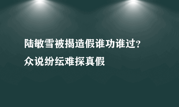 陆敏雪被揭造假谁功谁过？ 众说纷纭难探真假