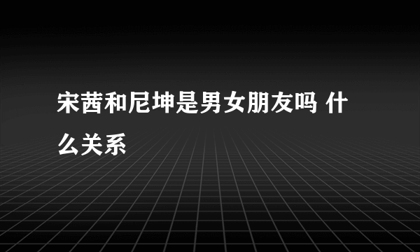 宋茜和尼坤是男女朋友吗 什么关系