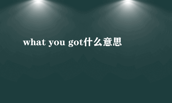 what you got什么意思