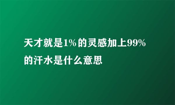 天才就是1%的灵感加上99%的汗水是什么意思