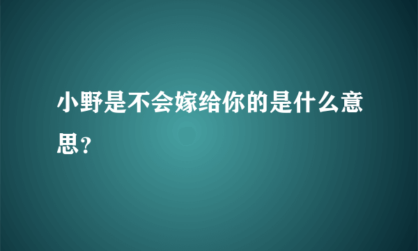 小野是不会嫁给你的是什么意思？