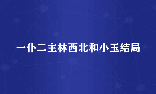 一仆二主林西北和小玉结局