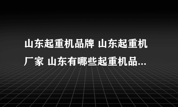 山东起重机品牌 山东起重机厂家 山东有哪些起重机品牌【品牌库】