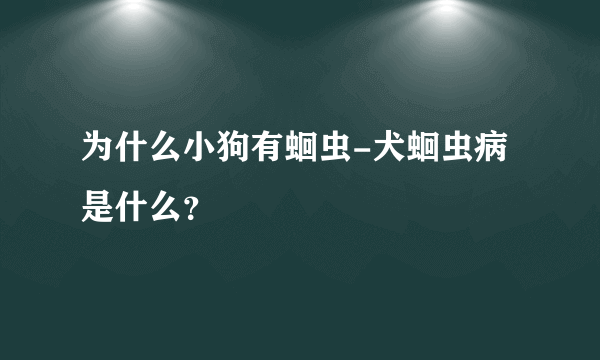 为什么小狗有蛔虫-犬蛔虫病是什么？