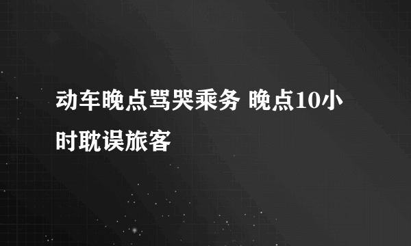 动车晚点骂哭乘务 晚点10小时耽误旅客