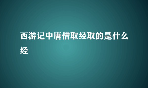 西游记中唐僧取经取的是什么经