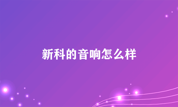 新科的音响怎么样