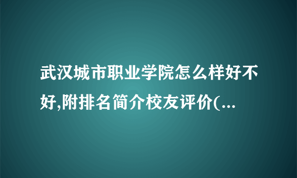 武汉城市职业学院怎么样好不好,附排名简介校友评价(10条)