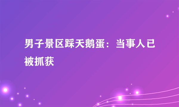 男子景区踩天鹅蛋：当事人已被抓获