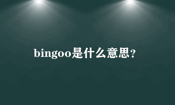 bingoo是什么意思？