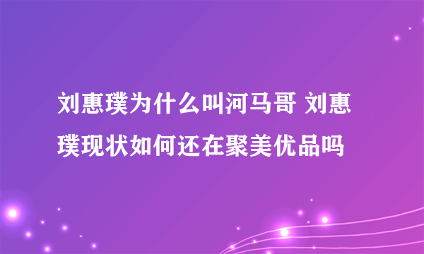 刘惠璞为什么叫河马哥 刘惠璞现状如何还在聚美优品吗