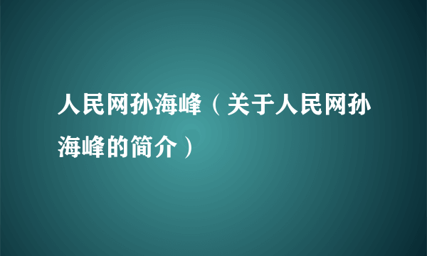 人民网孙海峰（关于人民网孙海峰的简介）