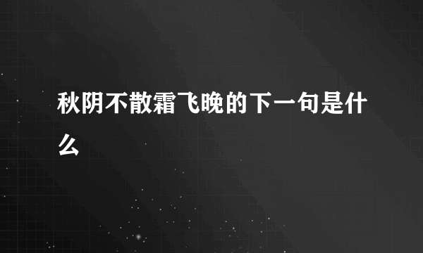 秋阴不散霜飞晚的下一句是什么