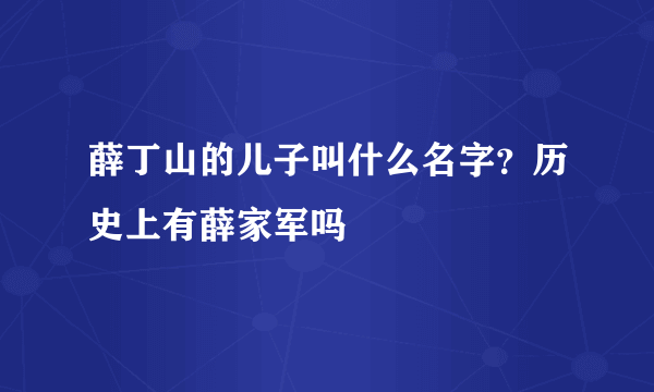 薛丁山的儿子叫什么名字？历史上有薛家军吗