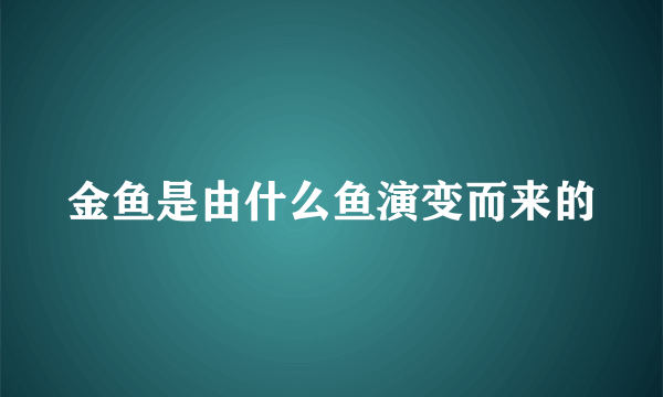 金鱼是由什么鱼演变而来的