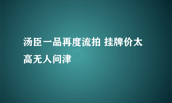 汤臣一品再度流拍 挂牌价太高无人问津