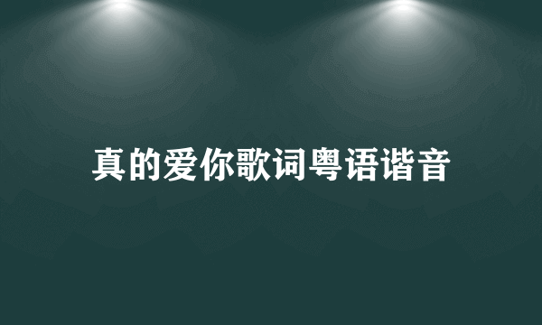 真的爱你歌词粤语谐音