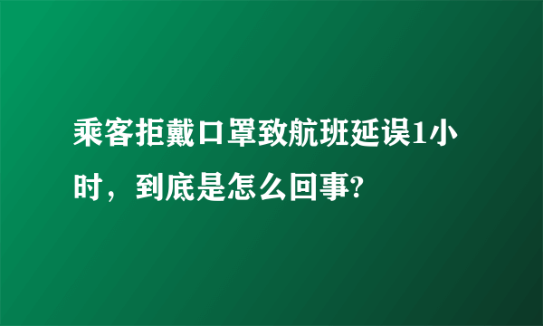 乘客拒戴口罩致航班延误1小时，到底是怎么回事?