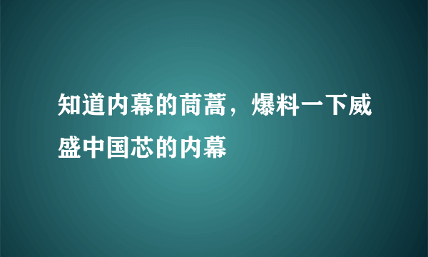 知道内幕的茼蒿，爆料一下威盛中国芯的内幕